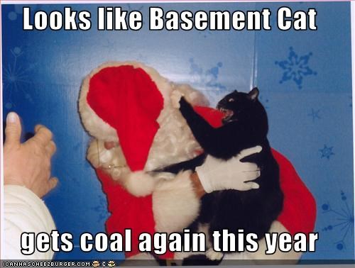 Basement cat gets coal for Christmas