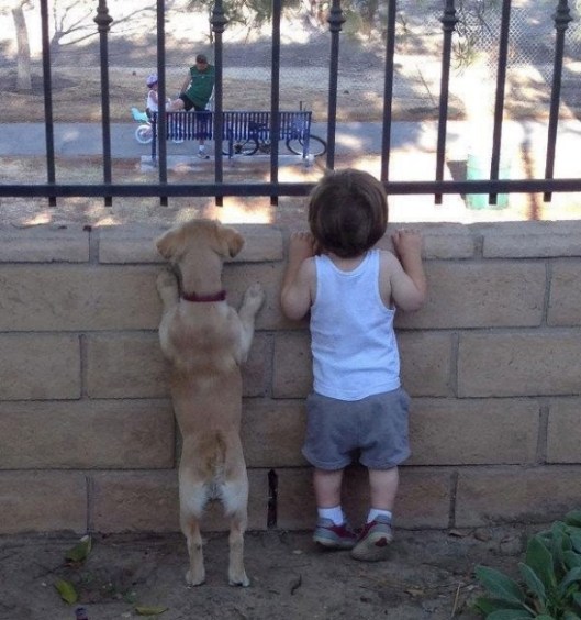 puppy child conspirator