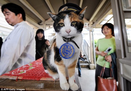 Tama Japanese cat stationmaster
