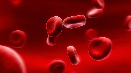 blood cells science youth aging reversal