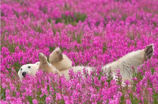 AGLHp_RFtrzdpn-StF_sedu8eLQFYUu_TqgDLkIlK4w=w722-h476-no