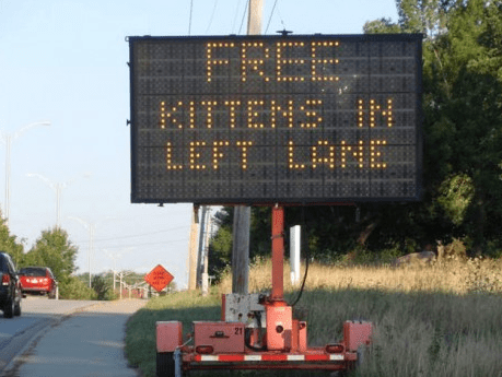 Hacked traffic sign kittens