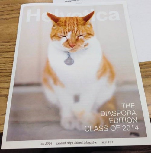 kitty makes school magazine and yearbook