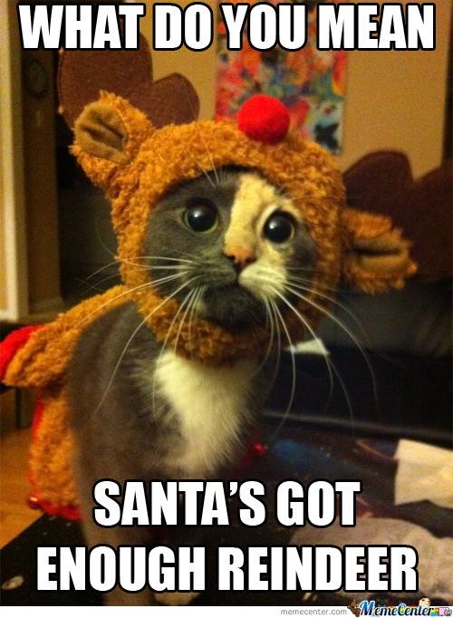 12294753_931192473615697_3103584777698100728_n