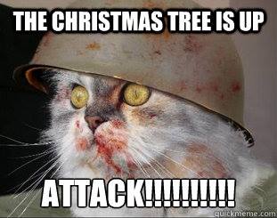 12311226_931192476949030_1189664763239295936_n