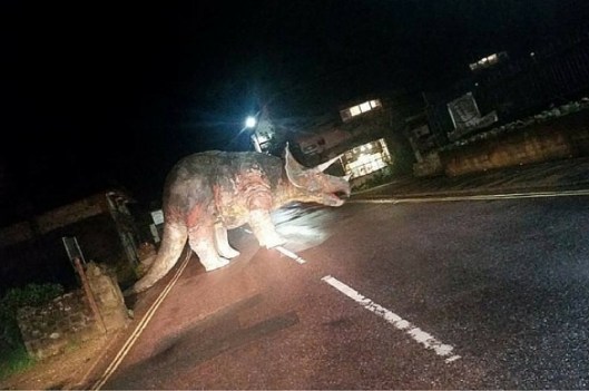 Photo credit: Chris Hollingshead/Facebook