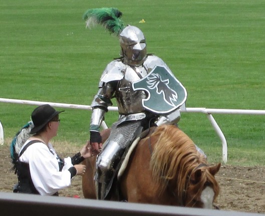 Mr. Knight. green and black.