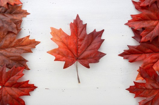 maple leaf flag