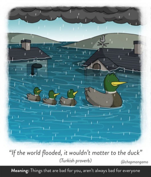 If the world flooded, it wouldn't matter to the duck. Turkish proverb. Things that are bad for you, aren't always bad for everyone. 