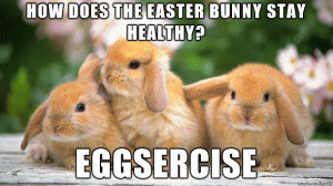eggsercise bunny puns