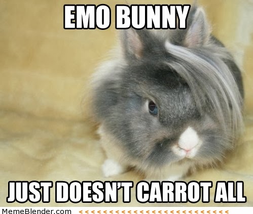 emo bunny doesn't carrot all